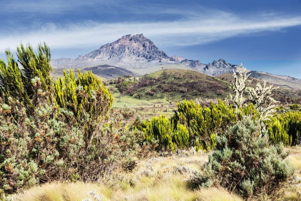 How High Is Mount Kilimanjaro? Your Complete Guide