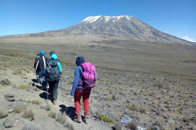 The Best 9-Day Kilimanjaro Northern Circuit Route: Complete Climbing Itinerary 2027/2028/2029 The Best 9-Day Kilimanjaro Northern Circuit Route: Complete Climbing Itinerary 2027/2028/2029