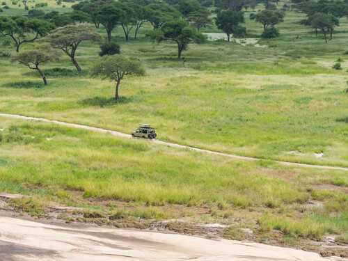 10 Reasons to Choose the Wet Season for Your Tanzania Safari 10 Reasons to Choose the Wet Season for Your Tanzania Safari