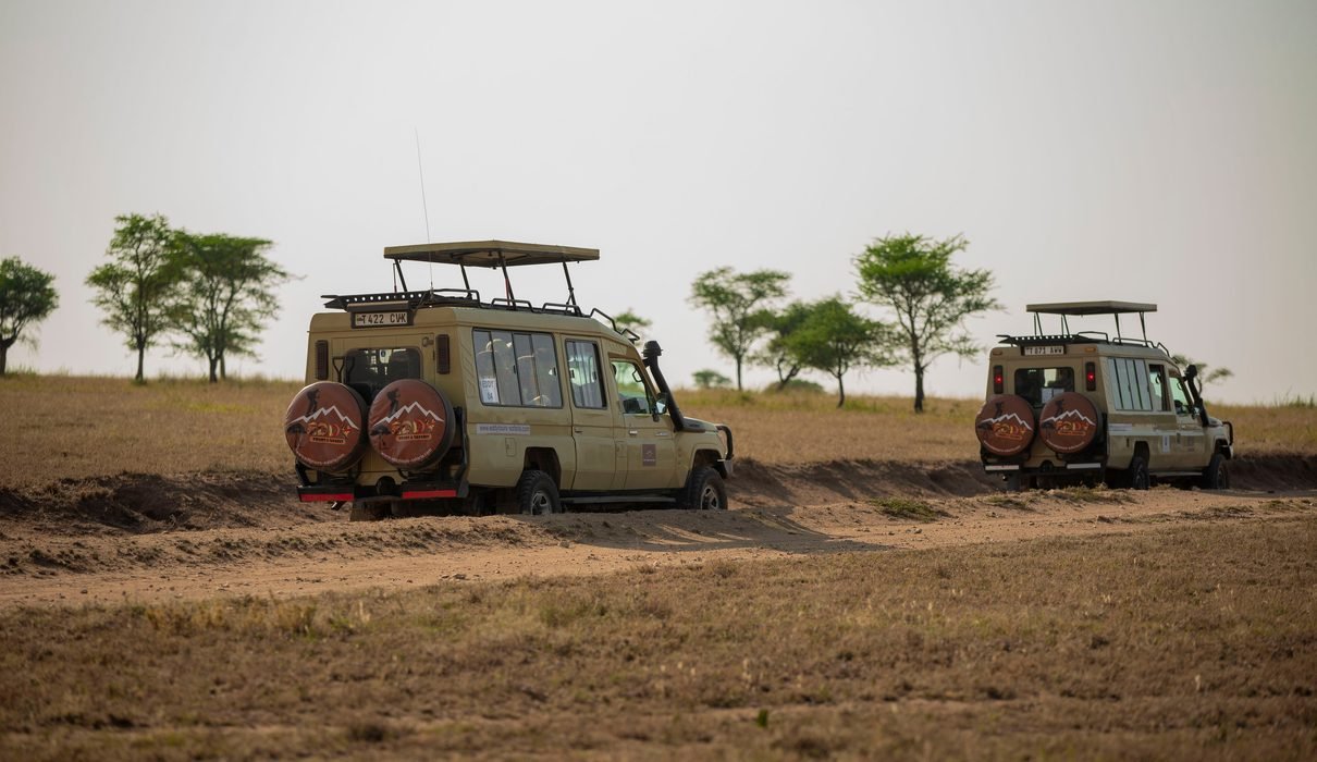 The Best 3 Days Tanzania Sharing Safari 2027/2028 – Tarangire, Ngorongoro and Lake Manyara