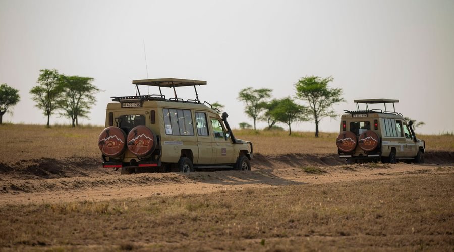 The Best 3 Days Tanzania Sharing Safari 2027/2028 – Tarangire, Ngorongoro and Lake Manyara