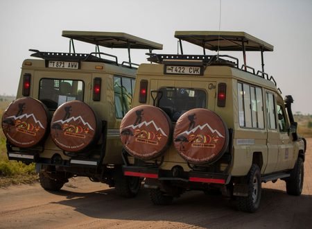 The Best 3 Days Mikumi and Nyerere National Park Safari – Private Tanzania Wildlife Safari