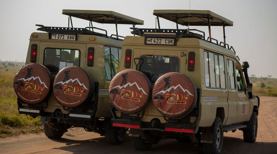 The Best 6 Days Private Tanzania Safari Tour in 2027–2028