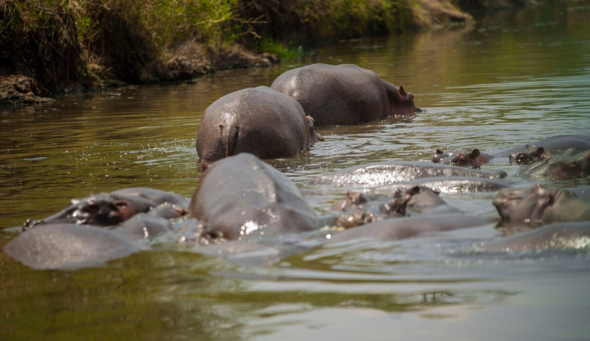 Tanzania’s Hidden Lakes You Must See