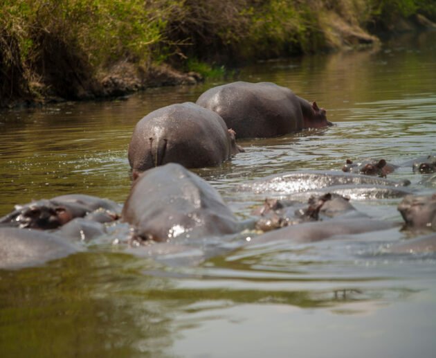 Tanzania’s Hidden Lakes You Must See