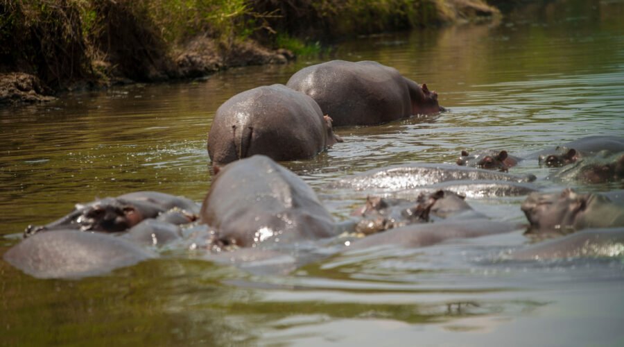 Tanzania’s Hidden Lakes You Must See