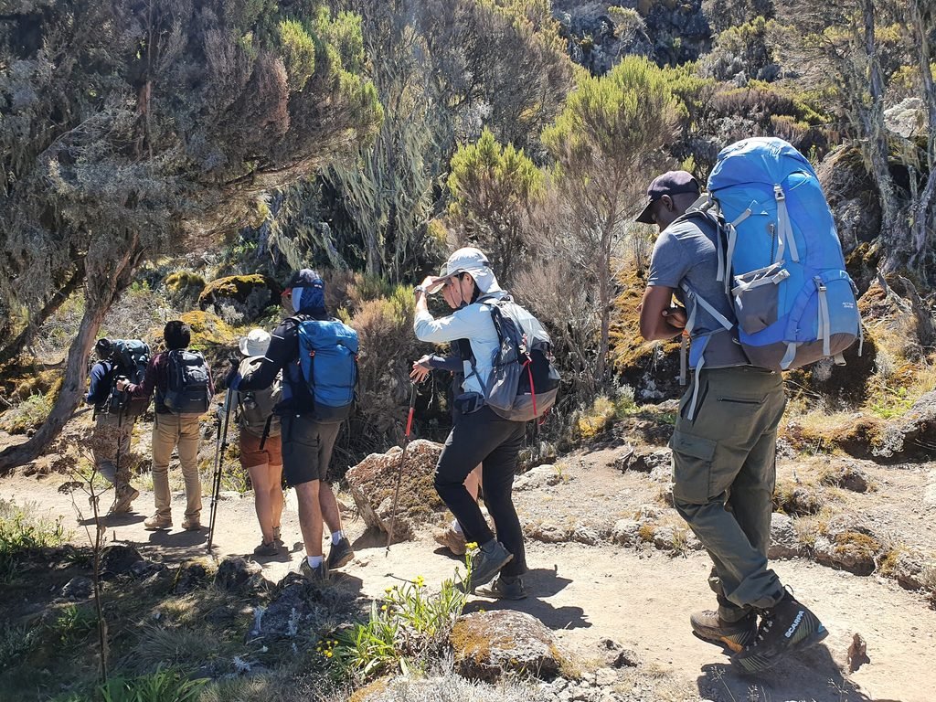 The Best Guide to Climbing Kilimanjaro in 2027/2028: Routes, Costs, Preparation and Summit Tips The Best Guide to Climbing Kilimanjaro in 2027/2028: Routes, Costs, Preparation and Summit Tips