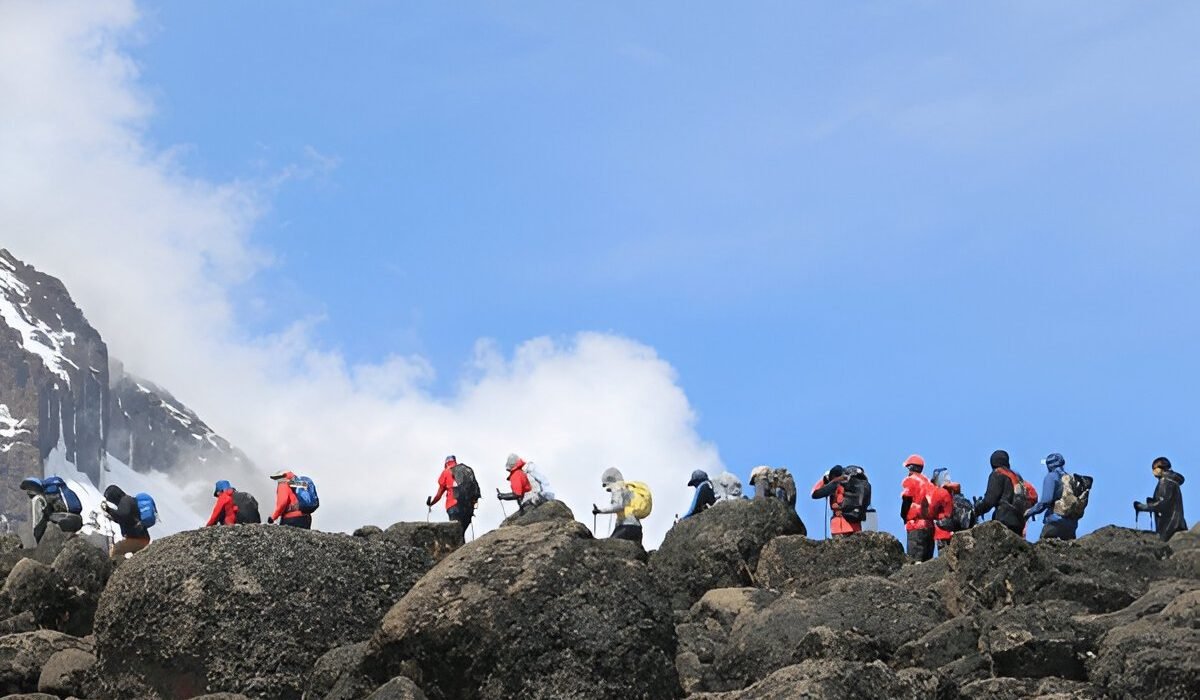 The Best 11-Day Northern Circuit Kilimanjaro Climbing Route in 2027/2028