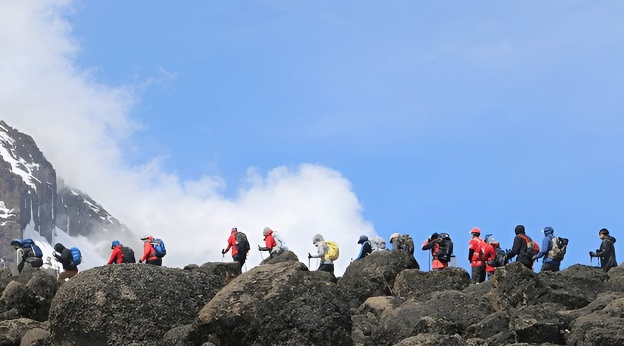 The Best 11-Day Northern Circuit Kilimanjaro Climbing Route in 2027/2028