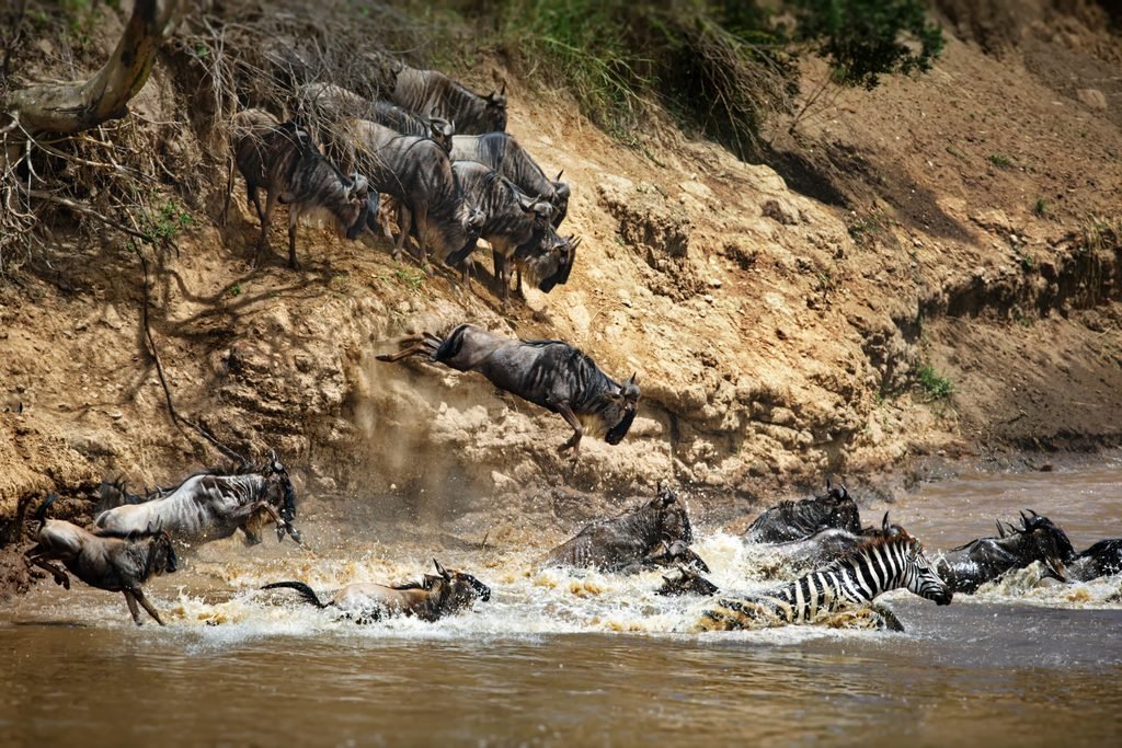 The Best Exclusive 4-Day Serengeti Migration Safari 2027/2028: Full Itinerary and Cost