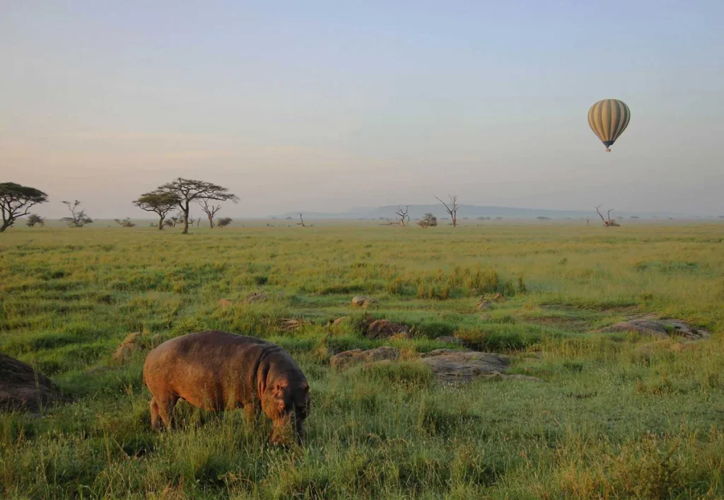 The Greatest 3 Days Serengeti Balloon Safari in Tanzania – Private Wildlife Safari 2027/2028