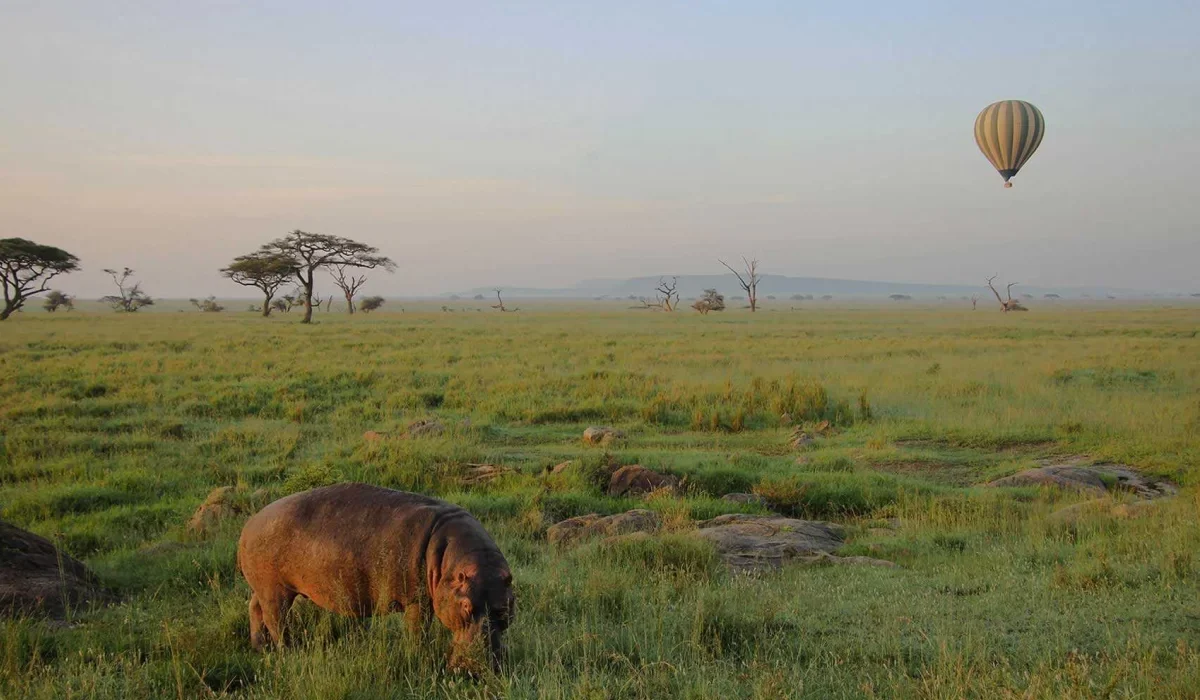 The Greatest 3 Days Serengeti Balloon Safari in Tanzania – Private Wildlife Safari 2027/2028