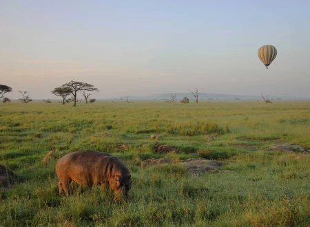The Greatest 3 Days Serengeti Balloon Safari in Tanzania – Private Wildlife Safari 2027/2028