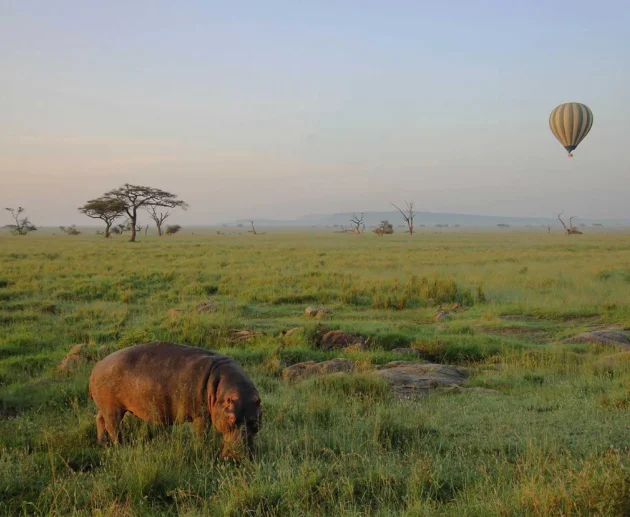 The Greatest 3 Days Serengeti Balloon Safari in Tanzania – Private Wildlife Safari 2027/2028