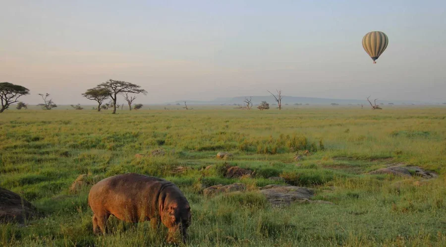 The Greatest 3 Days Serengeti Balloon Safari in Tanzania – Private Wildlife Safari 2027/2028