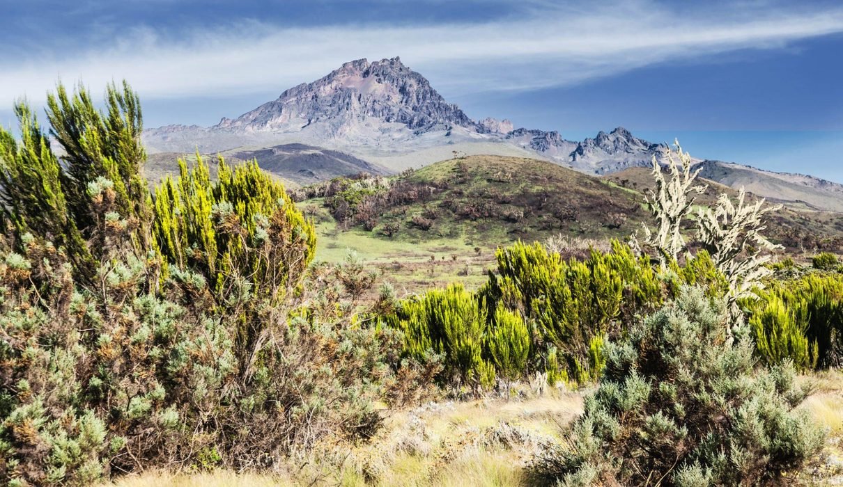 The Best 8-Day Lemosho Route: Kilimanjaro Itinerary and Price for 2027 and 2028