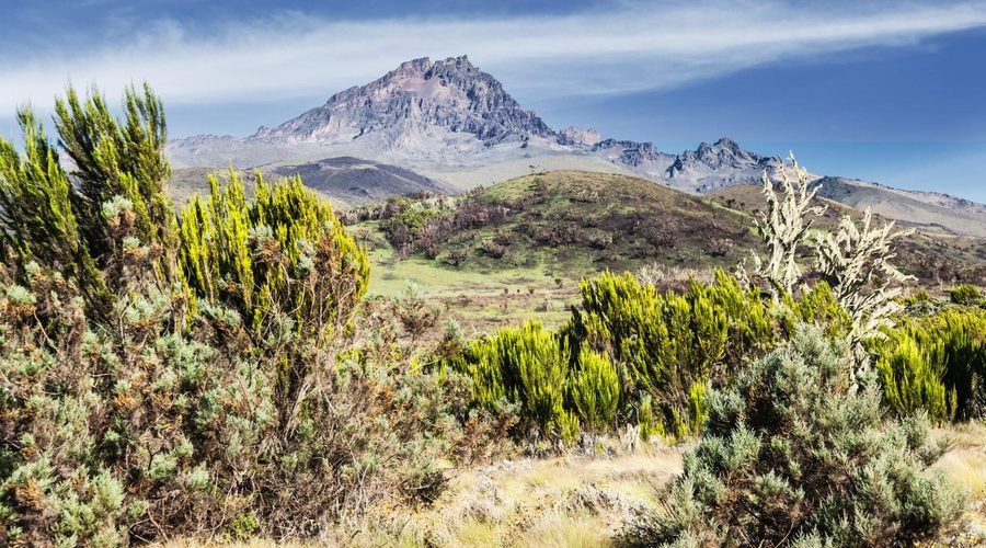 The Best 8-Day Lemosho Route: Kilimanjaro Itinerary and Price for 2027 and 2028
