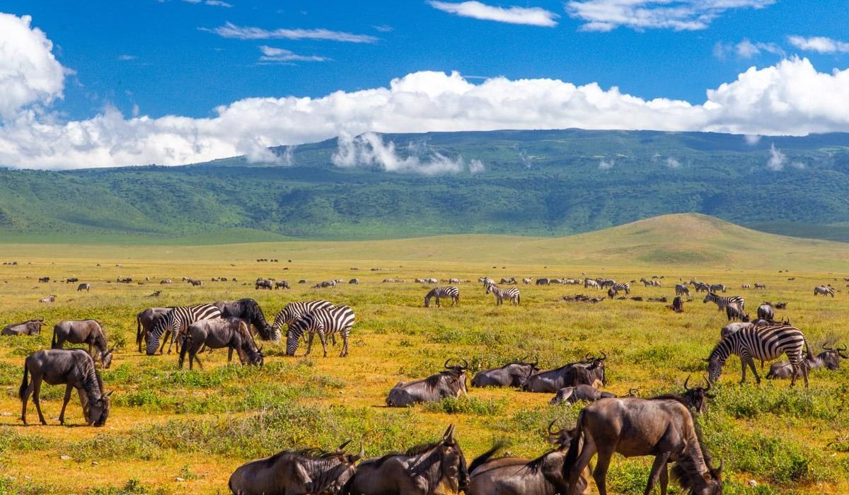 The Best 5 Days Serengeti Great Migration Luxury Lodge Safari 2027–2028