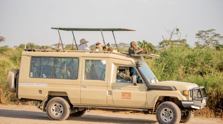 7 Days Tanzania Safari Triumph – The Adventure Few Truly Experience | Powerful 7-Step Wildlife Journey