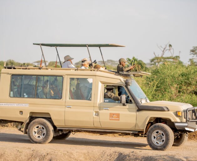 5 Days Tanzania Safari Surge – The Energy of the Wild: 7 Powerful Reasons to Experience It Now