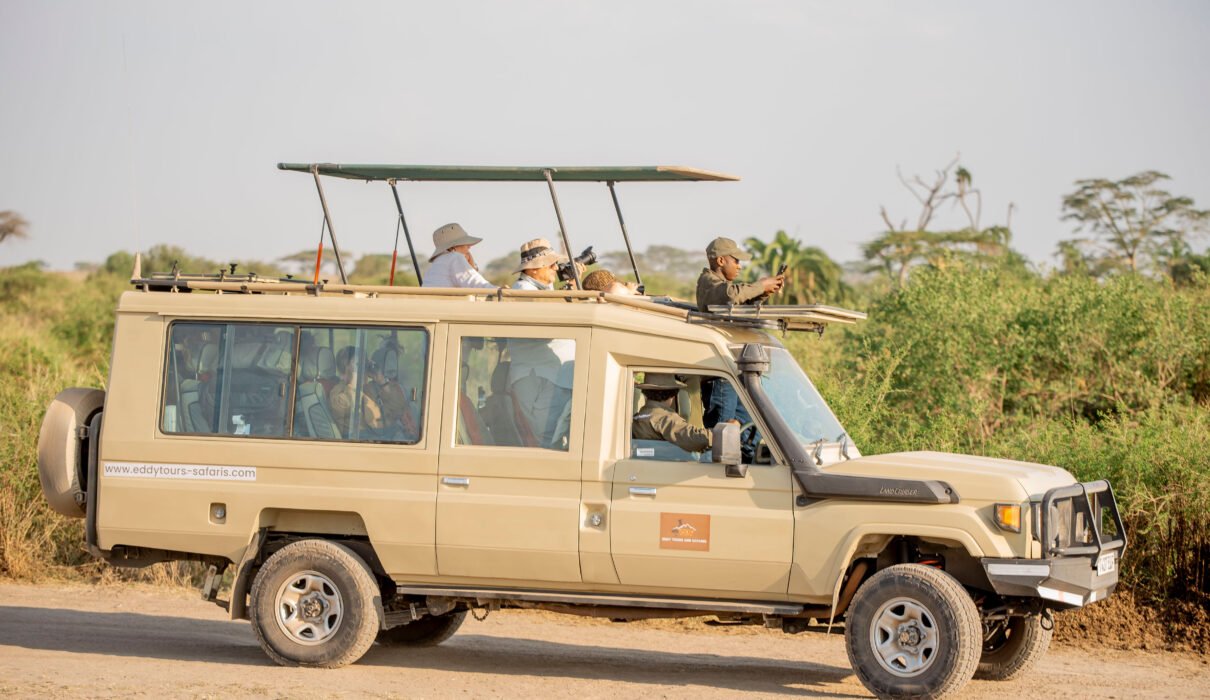 Most Exclusive Tanzania Safari – 8-Day Private Wildlife Journey: Ultimate Luxury Experience with 5-Star Comfort