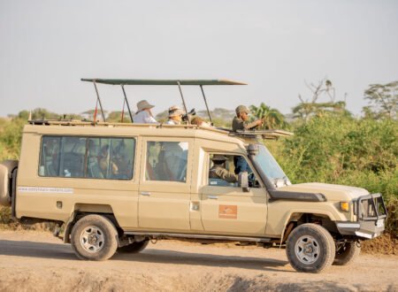 Most Exclusive Tanzania Safari – 8-Day Private Wildlife Journey: Ultimate Luxury Experience with 5-Star Comfort