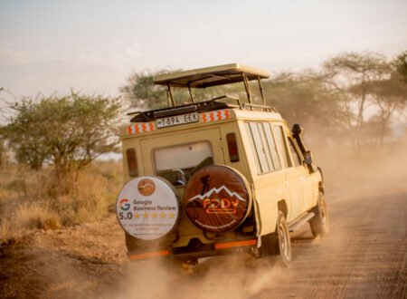 Safari en Tanzania – 7 planes más demandados: Experiencia Exclusiva y Fascinante