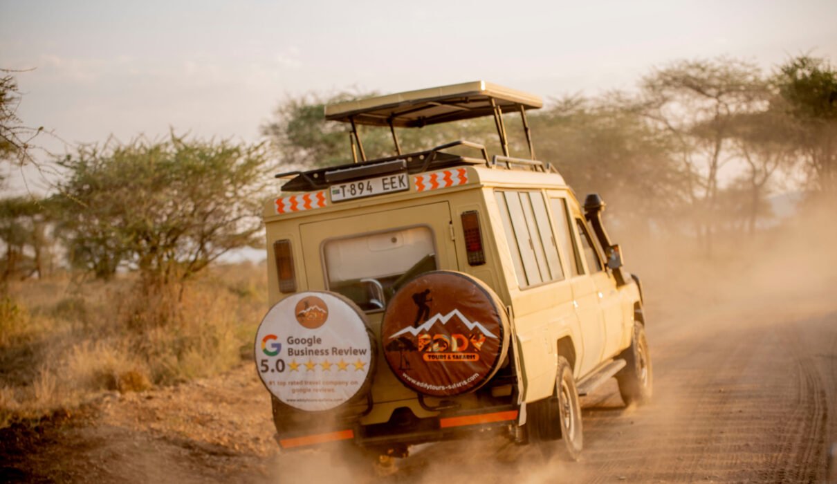 Safari in Tanzania – 8 Unieke & Onvergetelijke Ervaringen die je Reis Veranderen