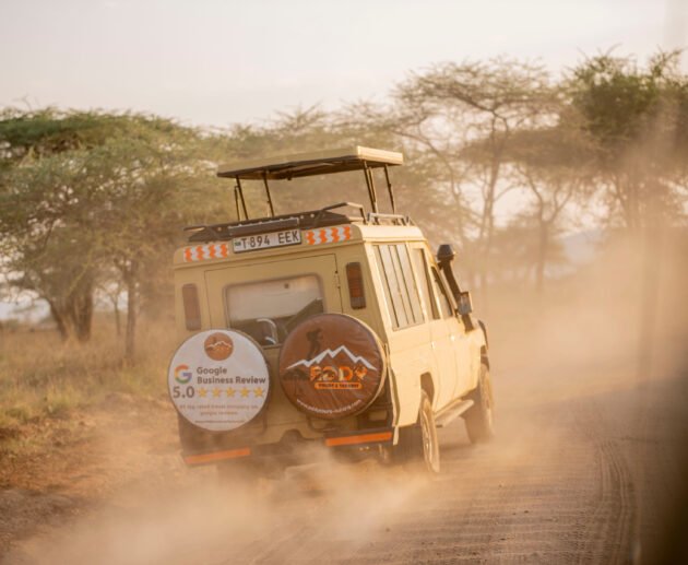5 Days Serengeti Migration Safari Experience