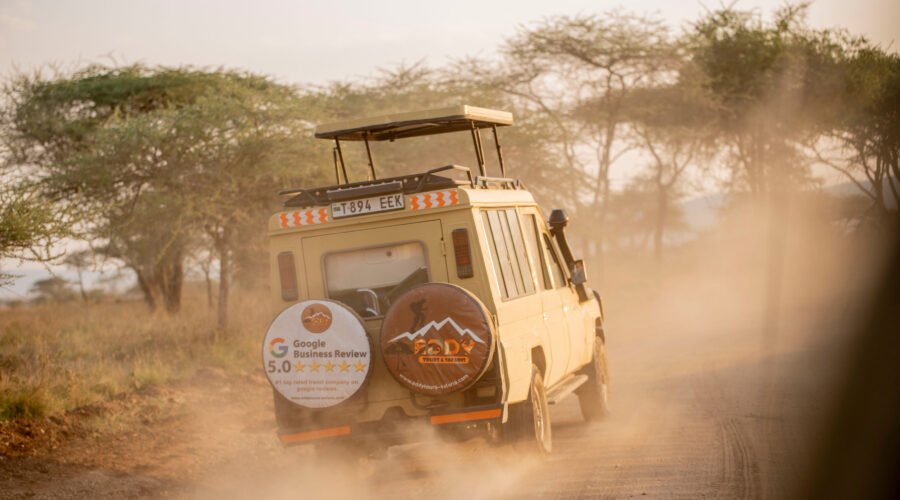 5 Days Serengeti Migration Safari Experience