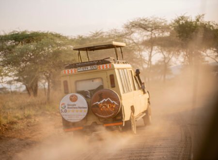 Best Price Guarantee for Safaris in Tanzania