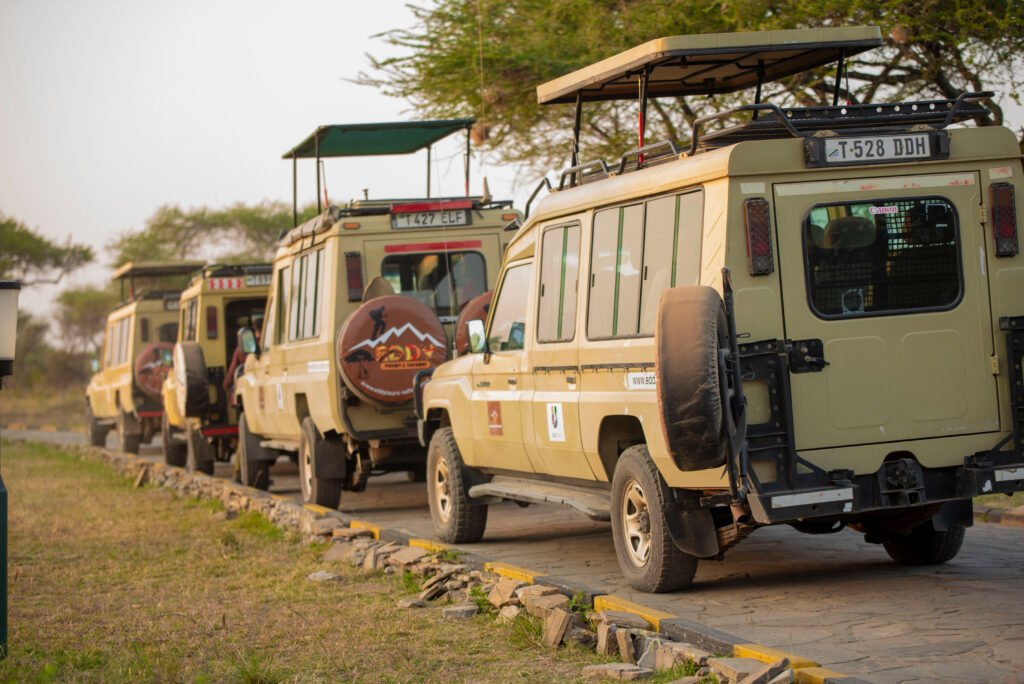 Safari in Tanzania – 5 veilige opties: De Ultieme Gids voor een Zorgeloze Avontuur