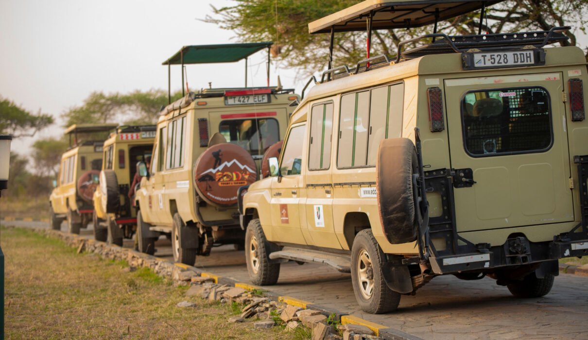 Safari in Tanzania – 5 veilige opties: De Ultieme Gids voor een Zorgeloze Avontuur