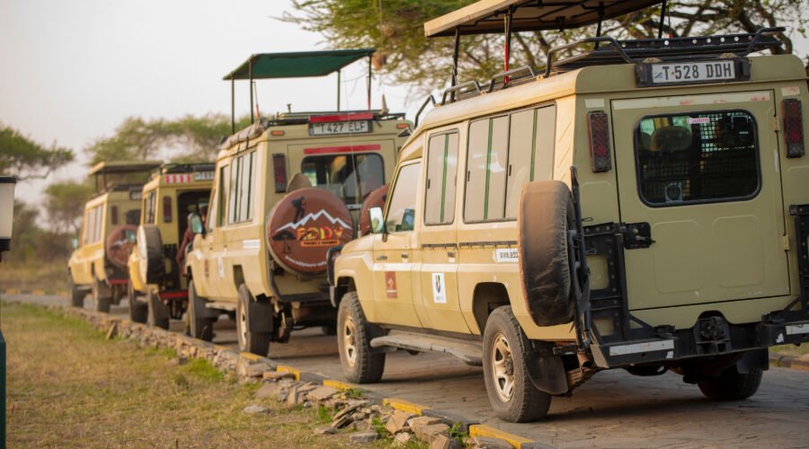 Safari in Tanzania – 5 veilige opties: De Ultieme Gids voor een Zorgeloze Avontuur