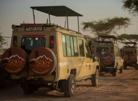 Safari Tanzania – 5 rutas más populares