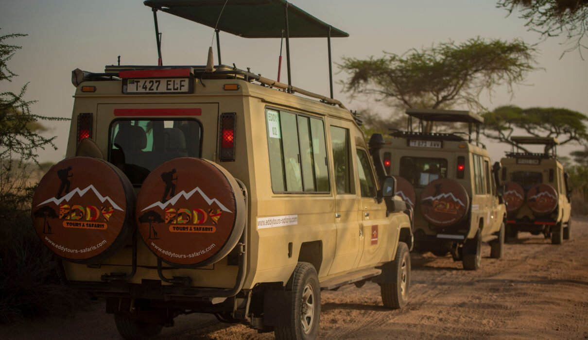 Most Recommended Tanzania Safari – 8-Day Northern Circuit Adventure: Ultimate Big Five Experience in 8 Powerful Days