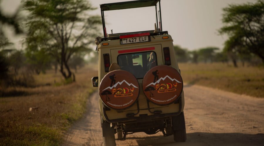 7 Days Tanzania Safari Breakaway – Leave the Ordinary Behind: 7 Powerful Reasons to Escape