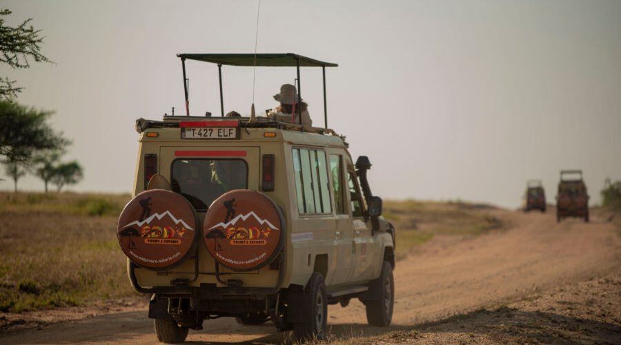 Tanzania safari – 9 indrukwekkende parken: De Ultieme en Onvergetelijke Natuurgids