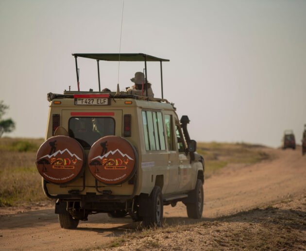 6 Days Serengeti Edge Safari – 10 Powerful Reasons the Action Never Stops