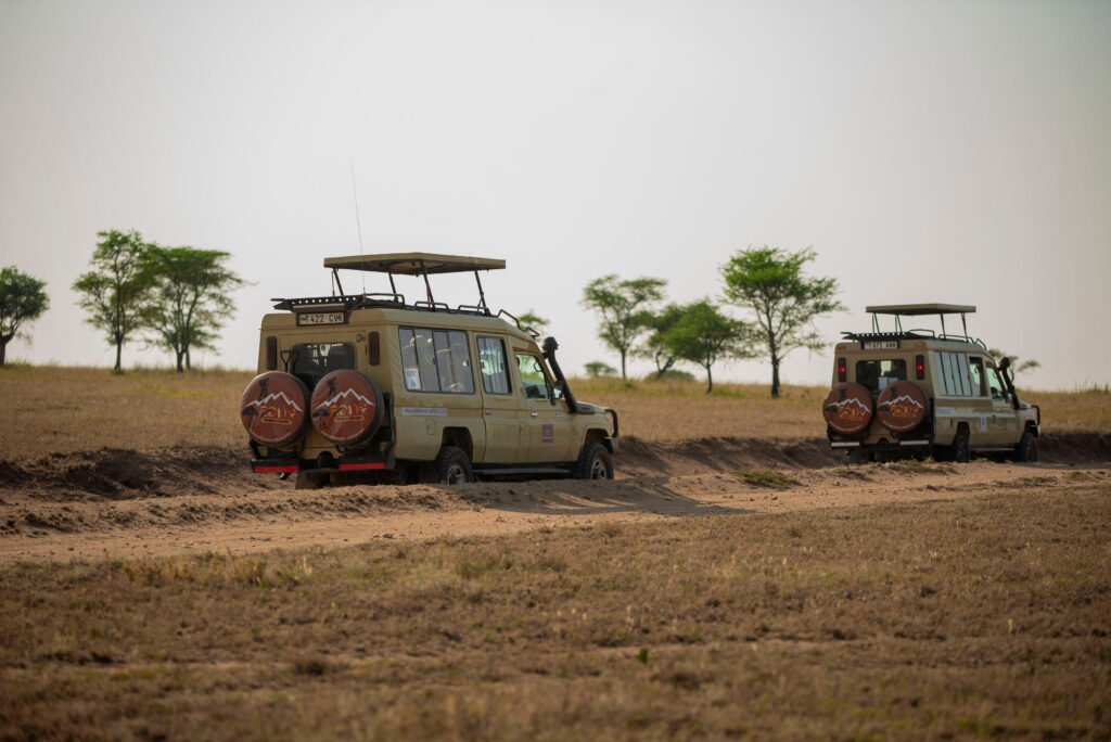 7 Days Ultimate Tanzania Safari – Stop Dreaming, Start Exploring: 1 Life-Changing Adventure 7 Days Ultimate Tanzania Safari – Stop Dreaming, Start Exploring: 1 Life-Changing Adventure