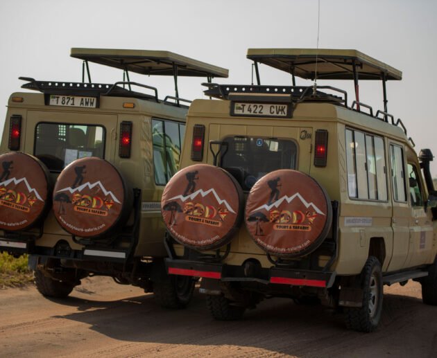 Serengeti National Park Safari Guide