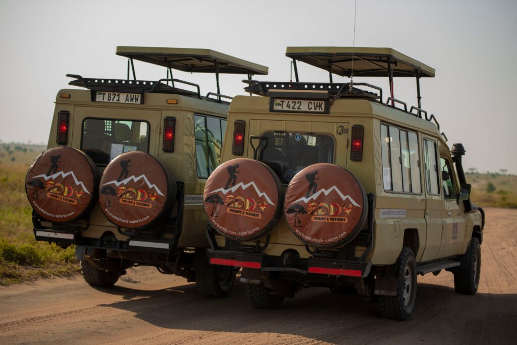 Ultimate Tanzania Wildlife Expedition – 8-Day Full Circuit: 1 Unforgettable Safari Journey Ultimate Tanzania Wildlife Expedition – 8-Day Full Circuit: 1 Unforgettable Safari Journey