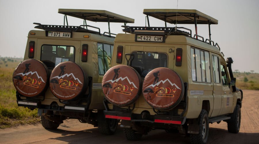 Voyage Safari Tanzanie Zanzibar – 8 Astuces utiles pour bien organiser une expérience inoubliable