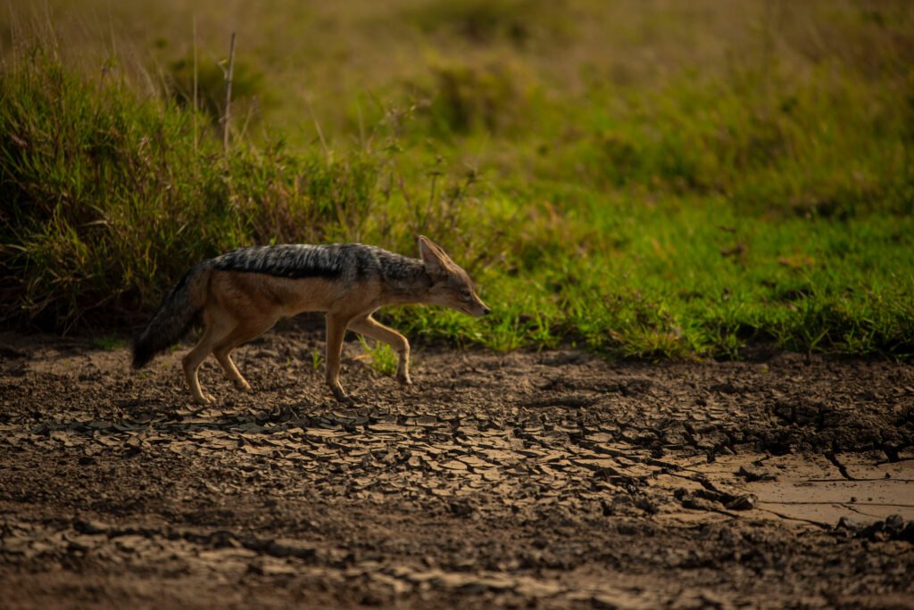 Best Countries to Travel in November