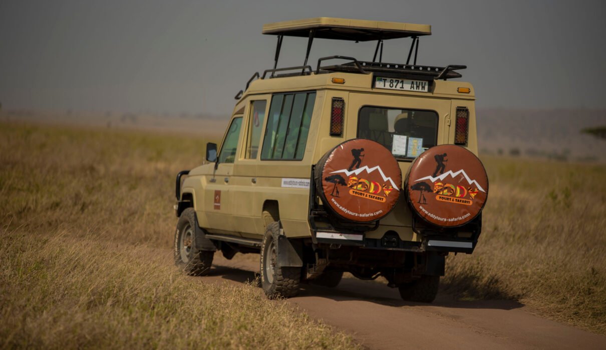 Most Powerful Tanzania Safari Experience – 6-Day Prime Circuit: 1 Ultimate Wildlife Adventure