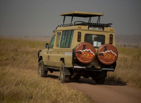 Most Powerful Tanzania Safari Experience – 6-Day Prime Circuit: 1 Ultimate Wildlife Adventure