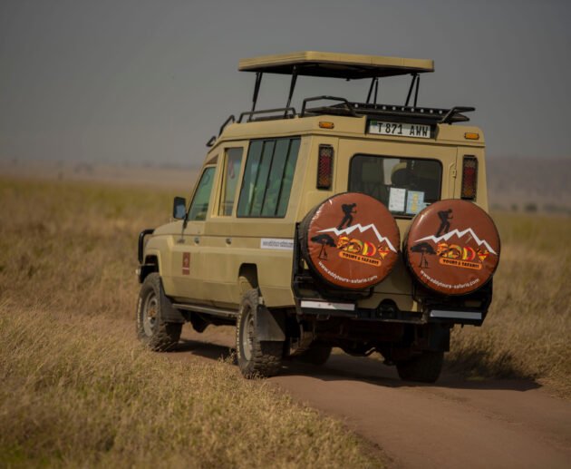 Most Powerful Tanzania Safari Experience – 6-Day Prime Circuit: 1 Ultimate Wildlife Adventure