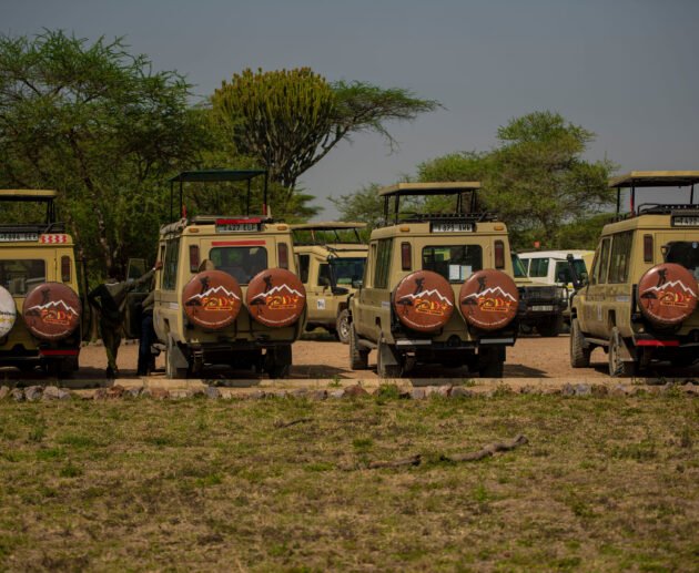 Circuit Safari Tanzanie et plages de Zanzibar