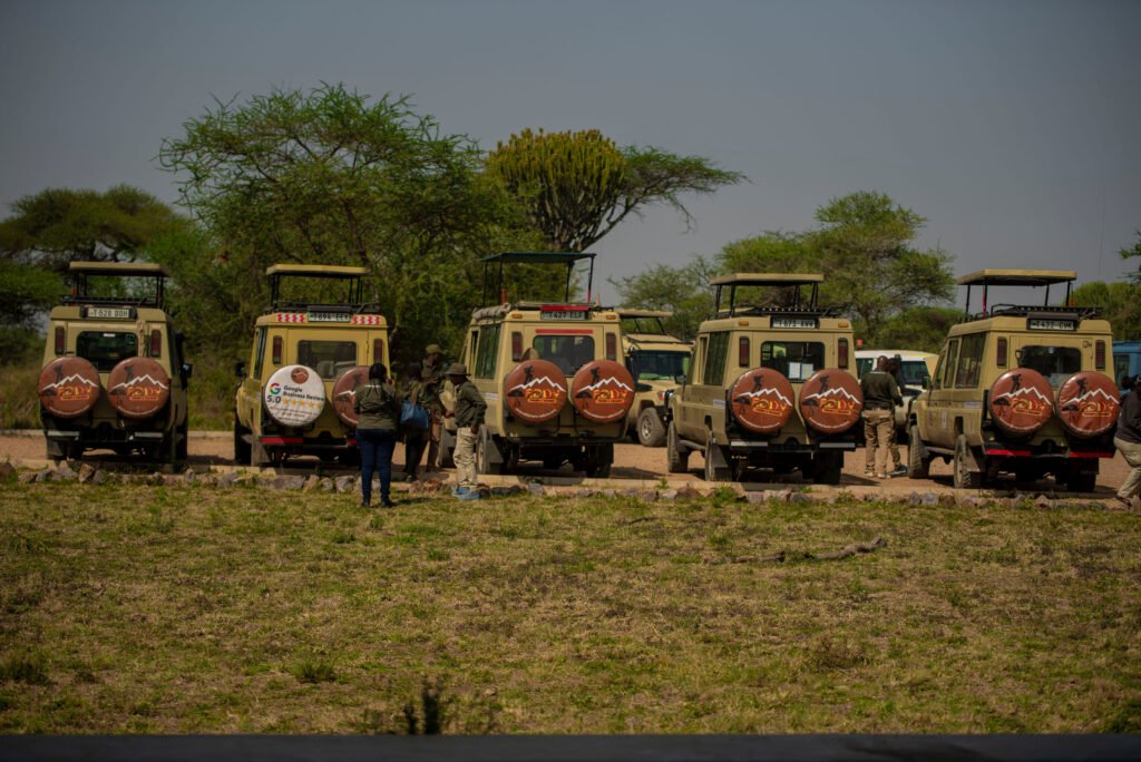 Best Local Tour Companies in Tanzania – 9 Powerful Reasons Smart Travelers Choose Local Experts