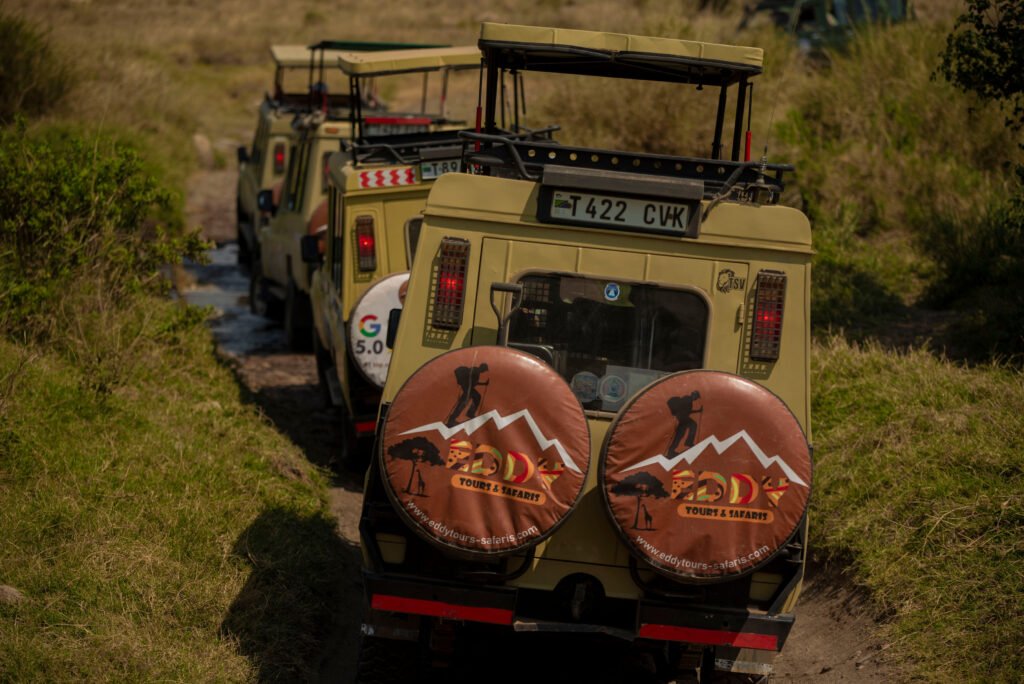 Tanzania safari – 8 Echte Voordelen voor Reizigers